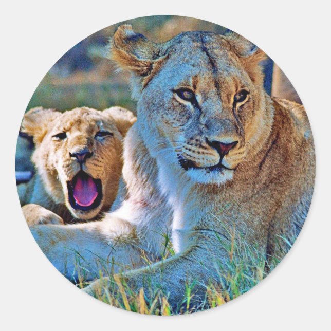 Adesivo Redondo Sticker (Frente)