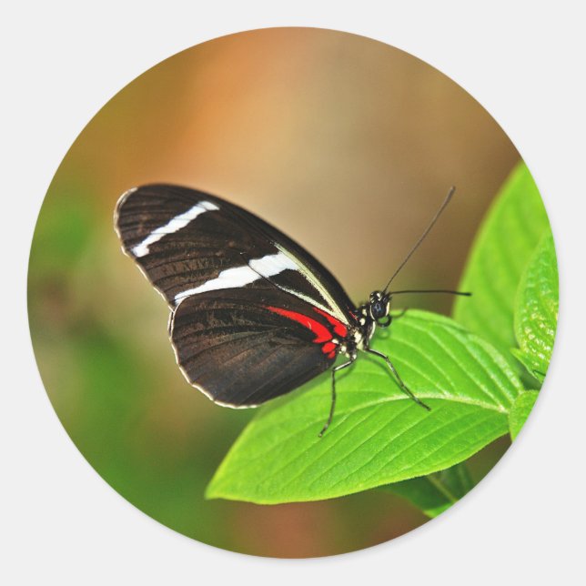 Adesivo Redondo Sticker (Frente)