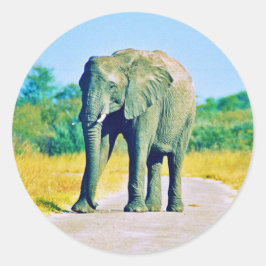 Adesivo Redondo Sticker