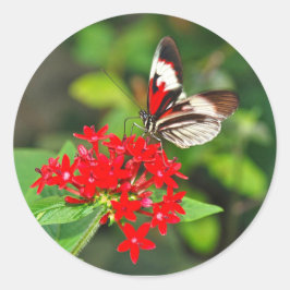 Adesivo Redondo Sticker