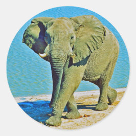 Adesivo Redondo Sticker