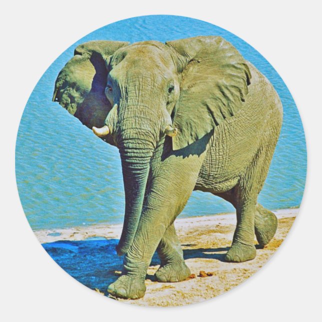 Adesivo Redondo Sticker (Frente)