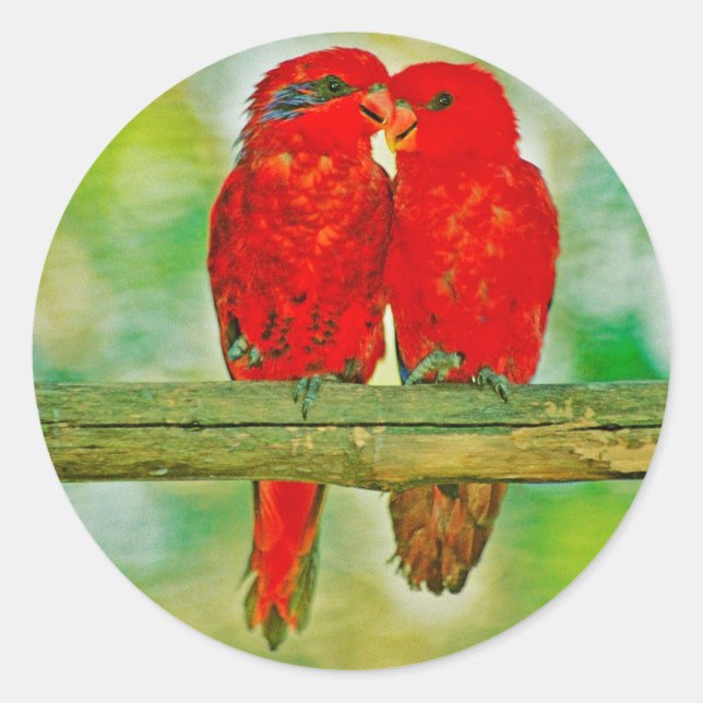 Adesivo Redondo Sticker (Frente)