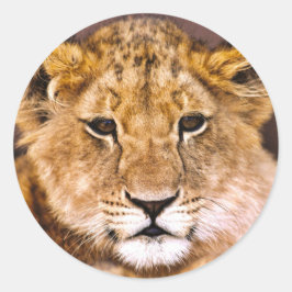 Adesivo Redondo Sticker