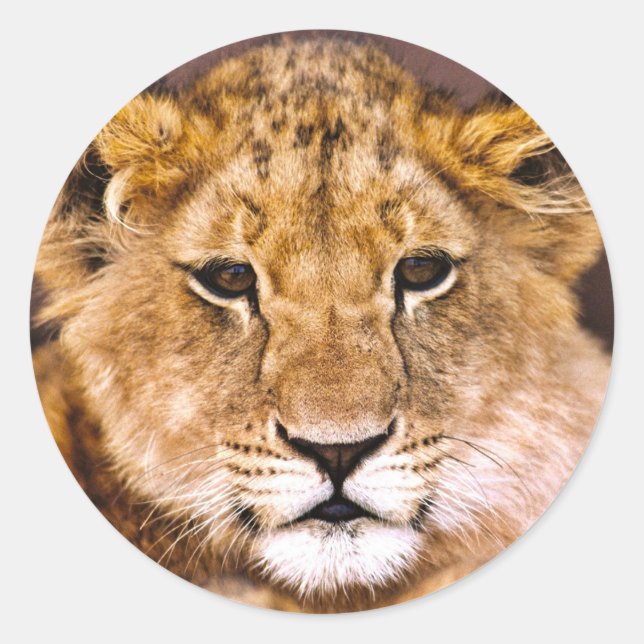 Adesivo Redondo Sticker (Frente)