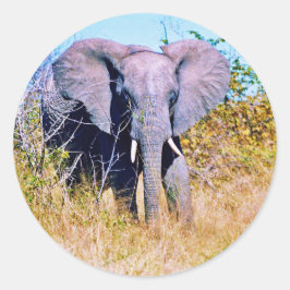 Adesivo Redondo Sticker