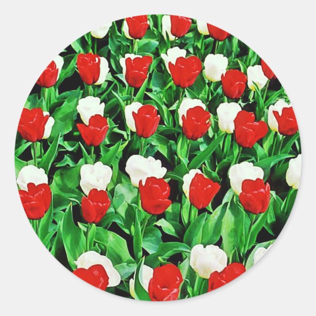 Adesivo Redondo Sticker (Frente)