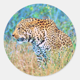 Adesivo Redondo Sticker