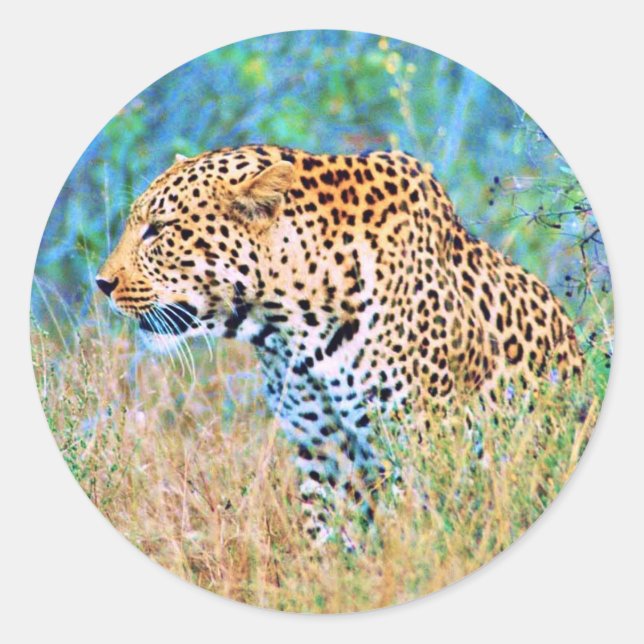 Adesivo Redondo Sticker (Frente)