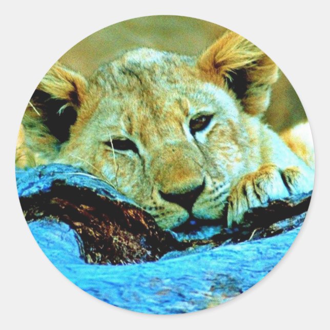 Adesivo Redondo Sticker (Frente)