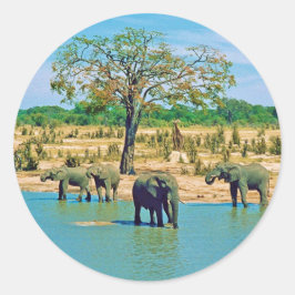 Adesivo Redondo Sticker