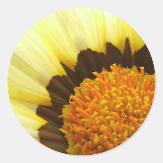 Adesivo Redondo Sticker Amarelo (Frente)
