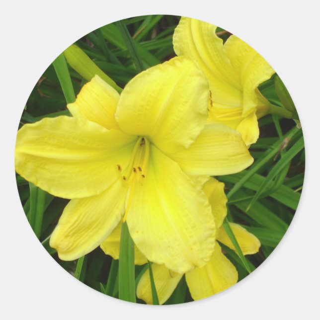 Adesivo Redondo Sticker Amarelo (Frente)