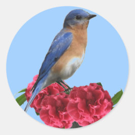 Adesivo Redondo Sticker da Camellia de Bluebird Oriental