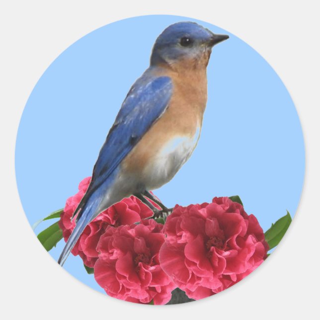 Adesivo Redondo Sticker da Camellia de Bluebird Oriental (Frente)