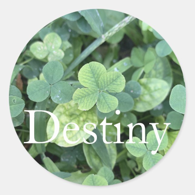 Adesivo Redondo Sticker Destiny  (Frente)