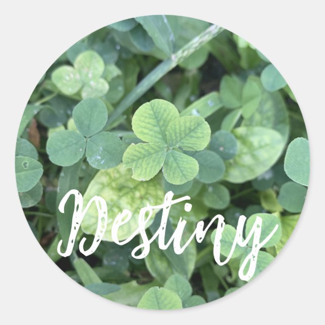 Adesivo Redondo Sticker Destiny  (Frente)