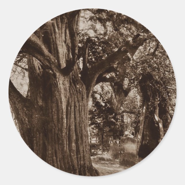 Adesivo Redondo Sticker Genealogia Churchyard Velha Árvore (Frente)