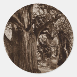 Adesivo Redondo Sticker Genealogia Churchyard Velha Árvore