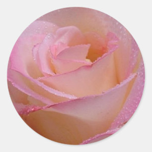 Adesivo Redondo Sticker Linda Rosa Rosa