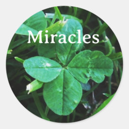 Adesivo Redondo Sticker Mir