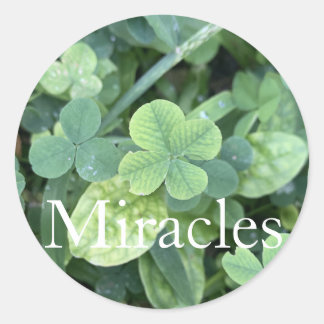 Adesivo Redondo Sticker 'Miracles'