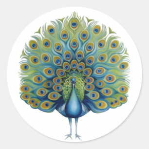 Adesivo Redondo Sticker Peacock