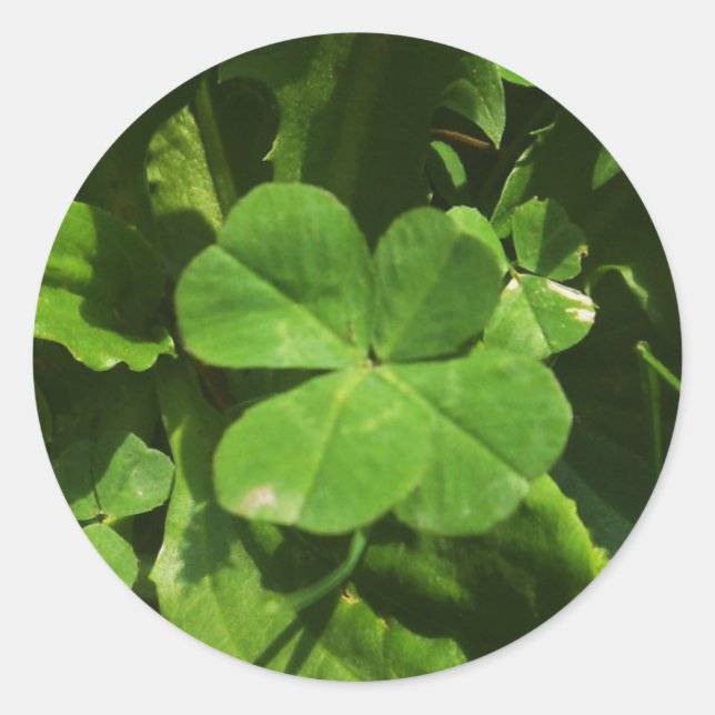 Adesivo Redondo Sticker Porte-bonheur (Frente)