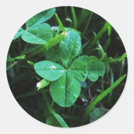 Adesivo Redondo Sticker Porte-bonheur