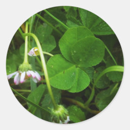 Adesivo Redondo Sticker Porte-bonheur - Lucky Charm