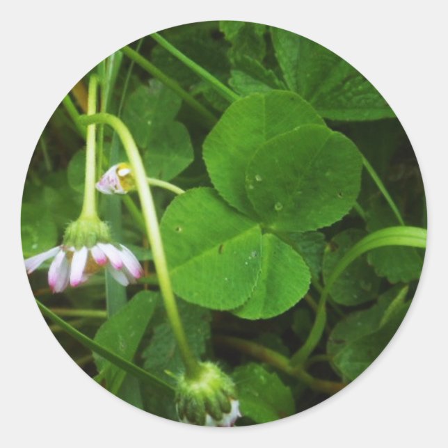 Adesivo Redondo Sticker Porte-bonheur - Lucky Charm (Frente)