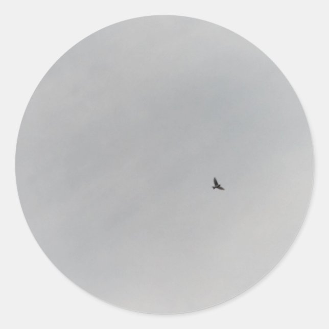 ADESIVO REDONDO STICKER ROLL  (Frente)