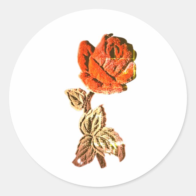 ADESIVO REDONDO STICKER ROLL  (Frente)