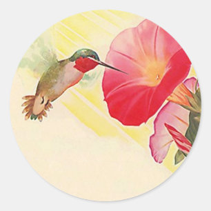 Adesivo Redondo Sticker Ruby Throated Hummingbird @ Flowers Garden