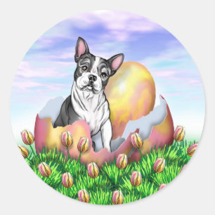 Adesivo Redondo Sticker Surpresa da Páscoa de Boston Terrier