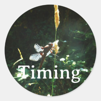Adesivo Redondo Sticker Timing