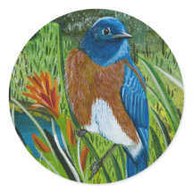 Sticker "Western Bluebird"