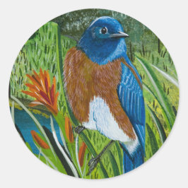 Adesivo Redondo Sticker "Western Bluebird"