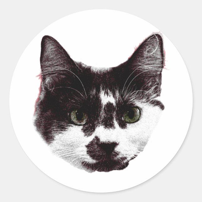 Adesivo Redondo Sticker with a Stare | Ink Style Cat Sticker (Frente)