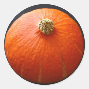 Adesivo Redondo Stickers