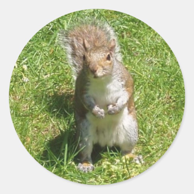 Adesivo Redondo Stickers (Frente)