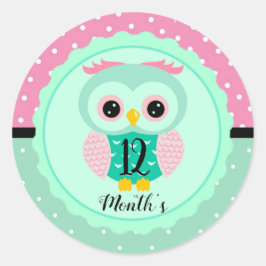 Adesivo Redondo Stickers do mês de bebê
