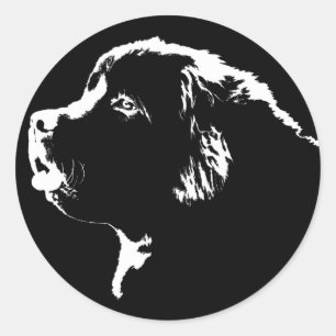 Adesivo Redondo Stickers New-land