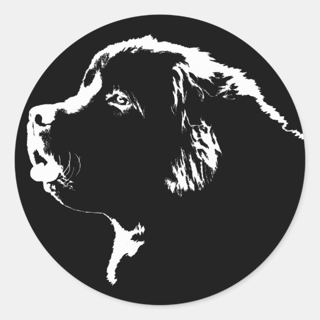 Adesivo Redondo Stickers New-land (Frente)