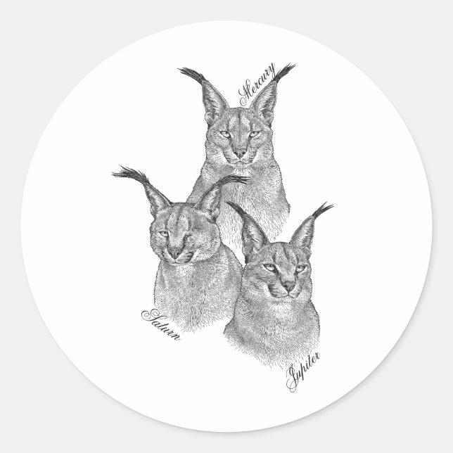 Adesivo Redondo Stickers - Os Planetas (Frente)