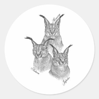 Adesivo Redondo Stickers - Os Planetas