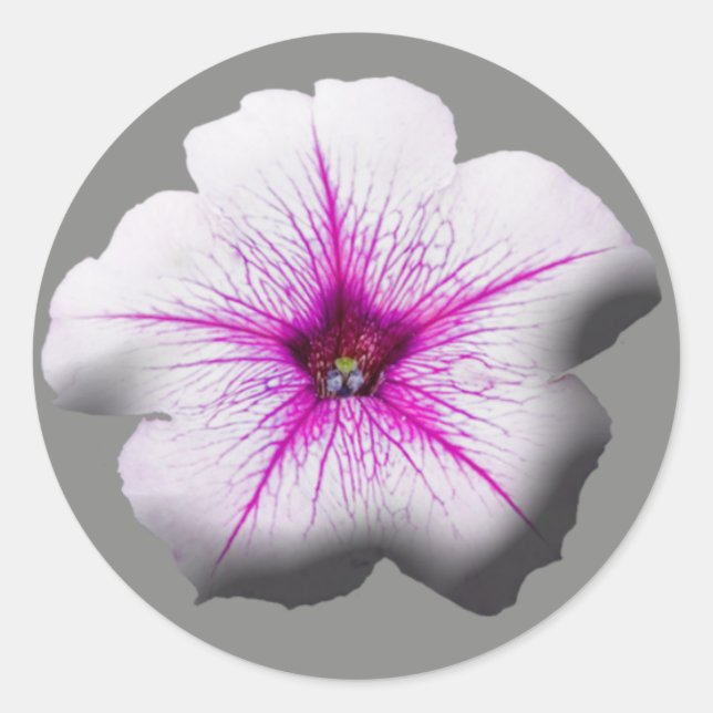 Adesivo Redondo Stickers Petunia Floral (Frente)