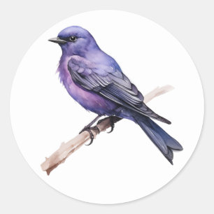 Adesivo Redondo Stickers Purple Martin Songbird