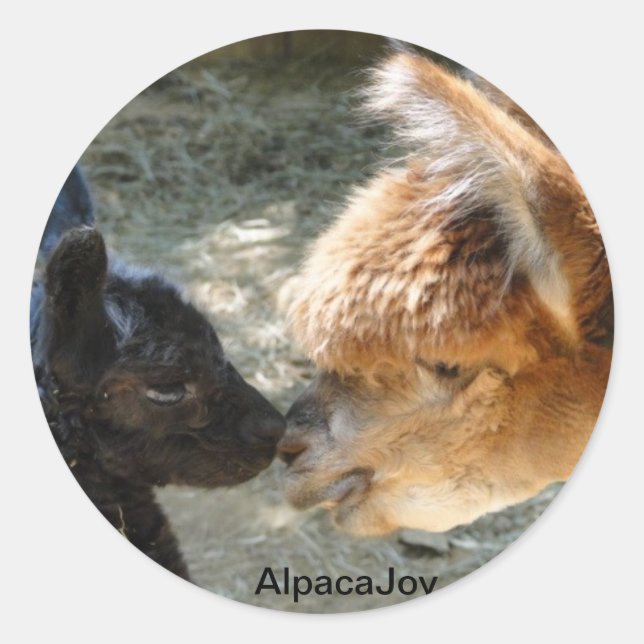 Adesivo Redondo Stormy e Epifany (Frente)