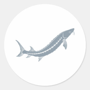 Adesivo Redondo Sturgeon Fish